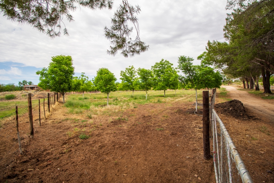 5 Bedroom Property for Sale in Louisvale Northern Cape